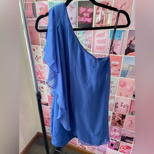 Bisou Bisou Mini Dress